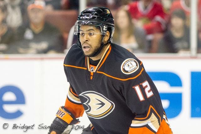 Black Hockey Players | List Of Famous Black NHL Players