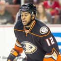 Right wing   Devante Smith-Pelly is a Canadian professional ice hockey winger currently playing for the Montreal Canadiens of the National Hockey League.