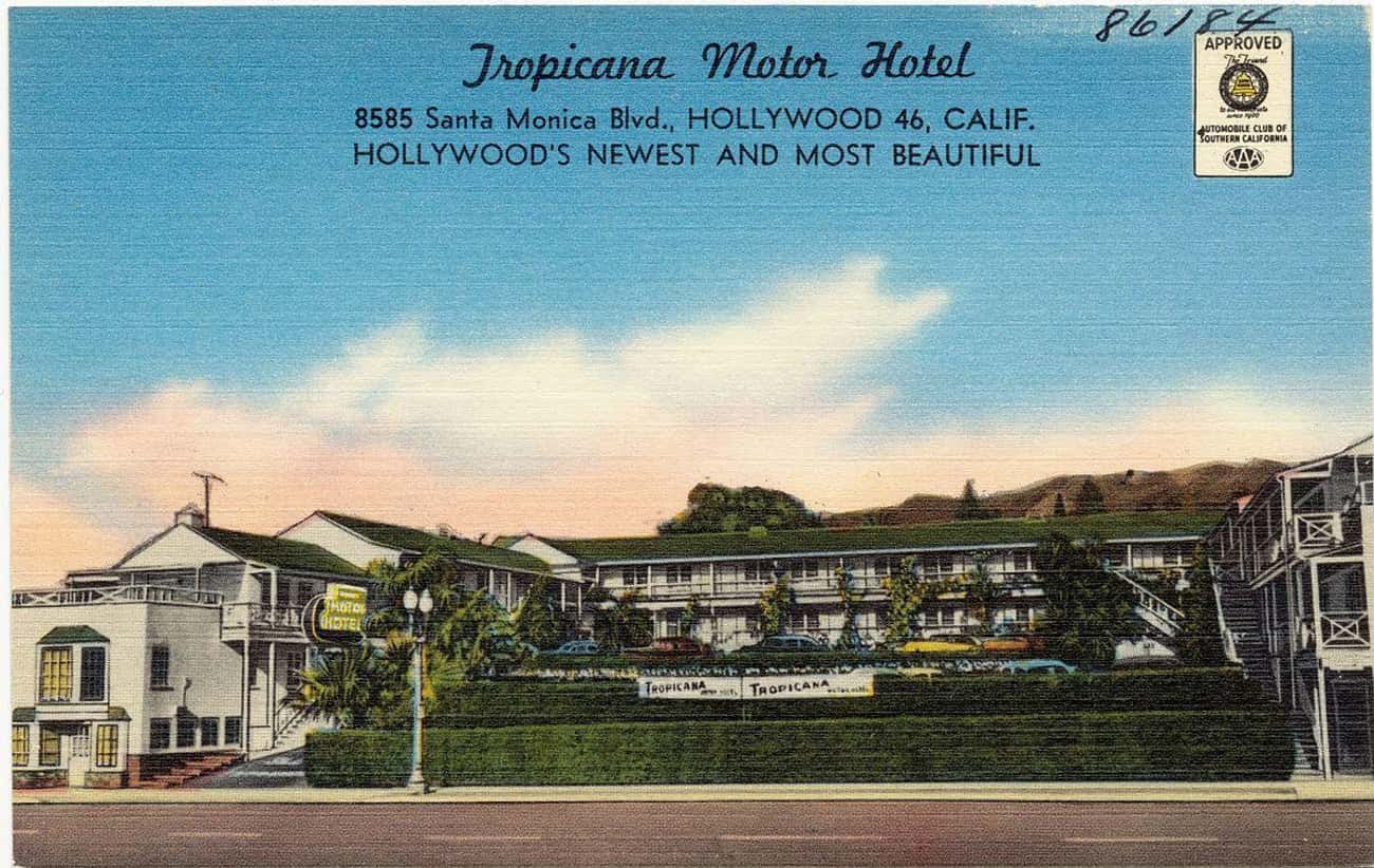 The Tropicana Motor Hotel Hosted Rock And Roll&#39;s Elite
