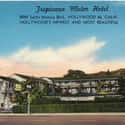 Tropicana Motel on Random Strange History Of Los Angeles's Most Infamous Hotels