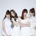 Chocolat is listed (or ranked) 18 on the list List Of All Disbanded K-pop Girl Groups, Ranked