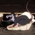 Templeton on Random Greatest Mice in Cartoons & Comics by Fans