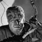 The Wolfman is listed (or ranked) 8 on the list The Greatest Werewolf Characters of All Time