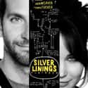 Silver Linings Playbook on Random Best Robert De Niro Movies