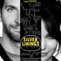 Silver Linings Playbook on Random Best Romantic Comedies Of 2010s Decad