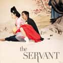 The Servant on Random Best Korean Historical Movies