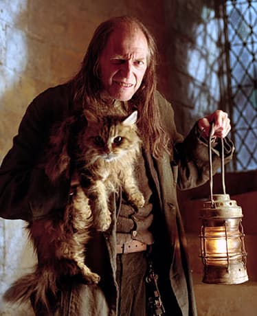 Harry Potter Cast: Where Are They Now (with Pictures)