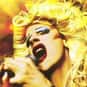 Hedwig is listed (or ranked) 27 on the list The Greatest Fictional Rock Stars