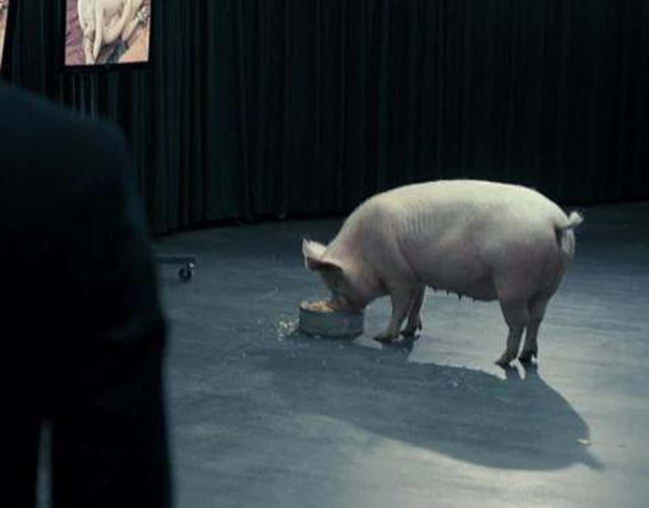 The Pig Scene In 'Black Mirror'