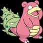 Slowbro is listed (or ranked) 80 on the list Complete List of All Pokemon Characters
