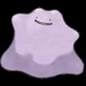 Ditto on Random Lazy Pokemon Designs That Weren't Even Trying