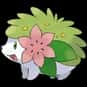 Shaymin is listed (or ranked) 15 on the list The Best Generation 4 Pokemon