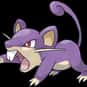 Rattata is listed (or ranked) 19 on the list Complete List of All Pokemon Characters