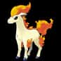 Ponyta is listed (or ranked) 77 on the list Complete List of All Pokemon Characters
