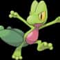 Treecko is listed (or ranked) 252 on the list Complete List of All Pokemon Characters