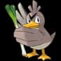 Farfetch'd is listed (or ranked) 83 on the list Complete List of All Pokemon Characters
