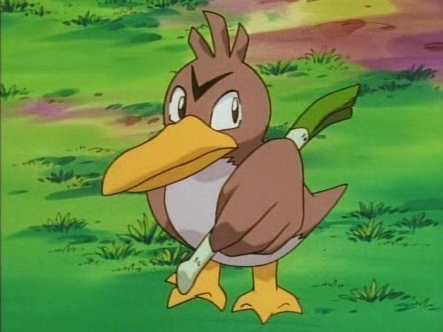 Farfetch d. Farfetch d. Farfetch. Фарфетчд галар. Фарфетчд галар.