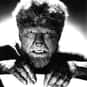 Larry Talbot is listed (or ranked) 11 on the list The Greatest Werewolf Characters of All Time