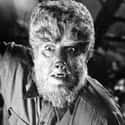 Larry Talbot on Random Universal Movie Monster You Are, Based On Your Zodiac Sign