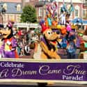 Share A Dream Come True Parade on Random Best Rides at Magic Kingdom