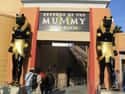 Revenge of the Mummy on Random Horror Stories in Universal Studios