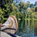Davy Crockett's Explorer Canoes on Random Best Rides at Disneyland