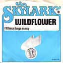 Wildflower on Random Greatest Soul Songs by One-Hit Wonders