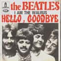 I Am the Walrus on Random Best Beatles Songs