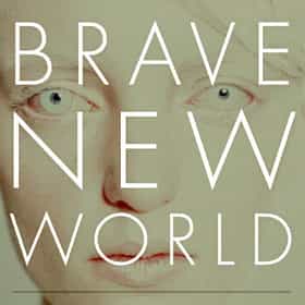 a brave new world book length