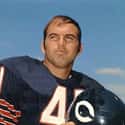 Brian Piccolo is listed (or ranked) 15 on the list The Best NFL Players To Have Their Numbers Retired