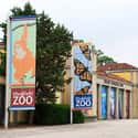 Brookfield Zoo on Random Best Things To Do In Chicago