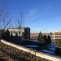 Broomfield on Random Best Places In Colorado To Live