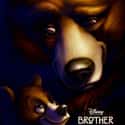 2003   Brother Bear is a 2003 American animated adventure comedy-drama film produced by Walt Disney Feature Animation and released by Walt Disney Pictures.