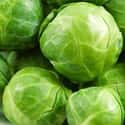 Brussels sprout on Random Healthiest Superfoods