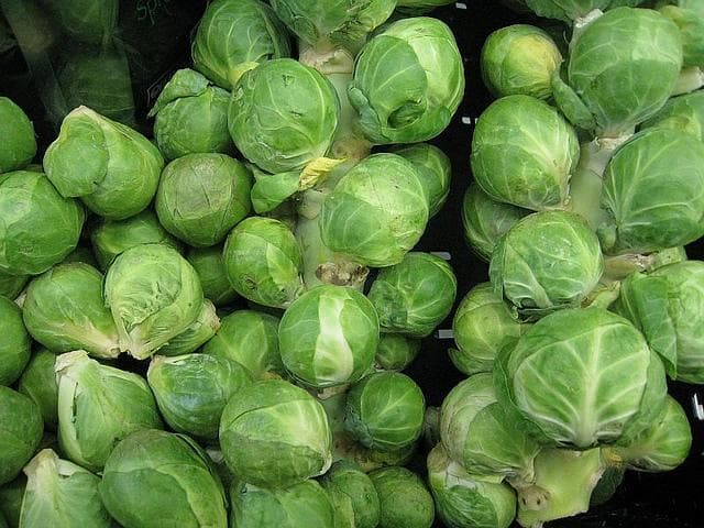 Brussels sprout
