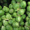 Brussels sprout on Random Most Delicious Thanksgiving Side Dishes