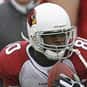 Bryant Johnson is listed (or ranked) 30 on the list The Best San Francisco 49ers Wide Receivers of All Time