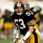 Bryan Hinkle is listed (or ranked) 24 on the list The Best Pittsburgh Steelers Linebackers of All Time