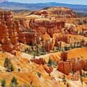 Bryce Canyon National Park on Random Best National Parks in the USA