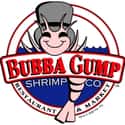 Bubba Gump Shrimp Company on Random Best Theme Restaurant Chains