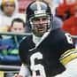 Bubby Brister is listed (or ranked) 14 on the list The Best Pittsburgh Steelers Quarterbacks of All Time