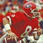 Buck Belue is listed (or ranked) 9 on the list The Best Georgia Bulldogs Quarterbacks of All Time
