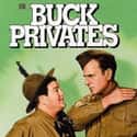 Lou Costello, Bud Abbott, Jane Frazee   Buck Privates is the 1941 comedy/World War II film that turned Bud Abbott and Lou Costello into bona fide movie stars. It was the first service comedy based on the peacetime draft of 1940.