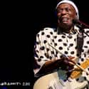 Chicago blues, Electric blues, Blues   George "Buddy" Guy is an American Chicago blues and electric blues guitarist and singer.
