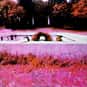 Peaches en Regalia is listed (or ranked) 38 on the list The Greatest Progressive Rock Songs Ever...
