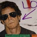 Lou Reed   Lou Reed