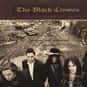 Thorn in My Pride is listed (or ranked) 4 on the list The Best The Black Crowes Songs