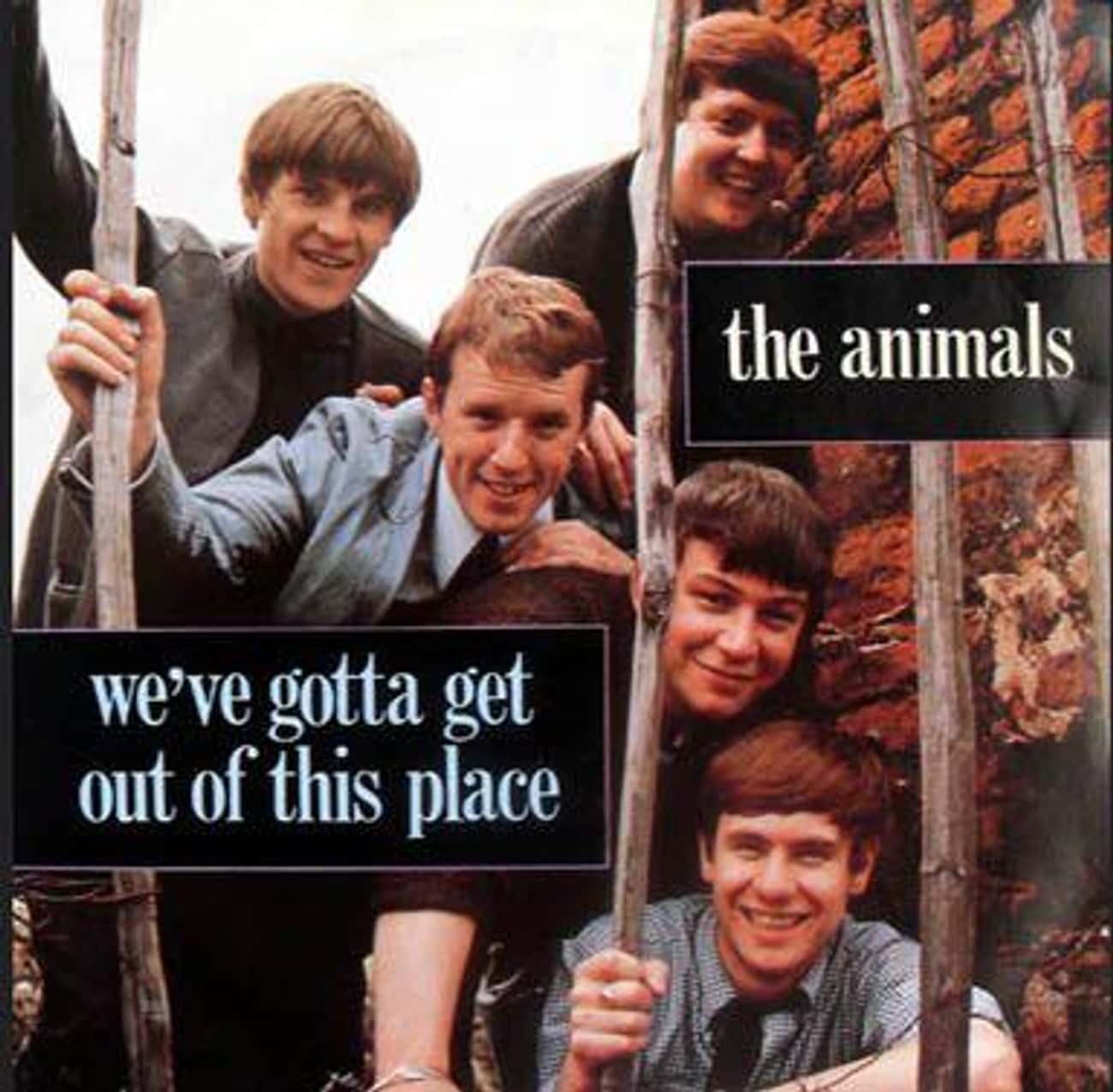Out of this place. The animals. Animals we gotta get out of this place. We gotta get. The animals группа обложка.