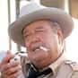 Buford T. Justice is listed (or ranked) 18 on the list The Best Villains in a Comedy Movie