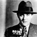 Bugsy Siegel on Random Utterly Bizarre Facts About Famous Gangsters